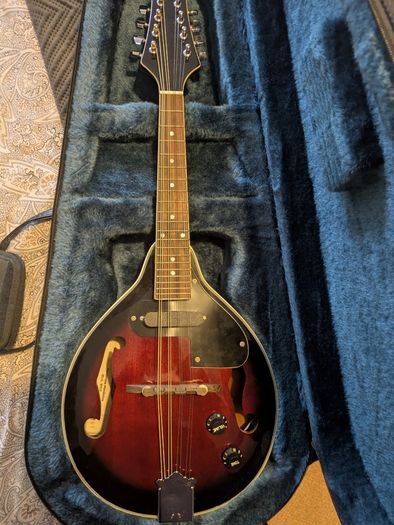 Mandolin