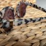 sunglasses women Hobbs Brand new Image 7