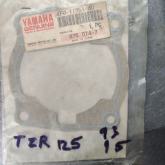 Yamaha TZR 250 gaskets