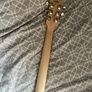 Les Paul Cort CR-50 Guitar with Ritter Guitar Gig Bag Image 10