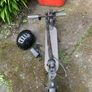 scoter Image 2