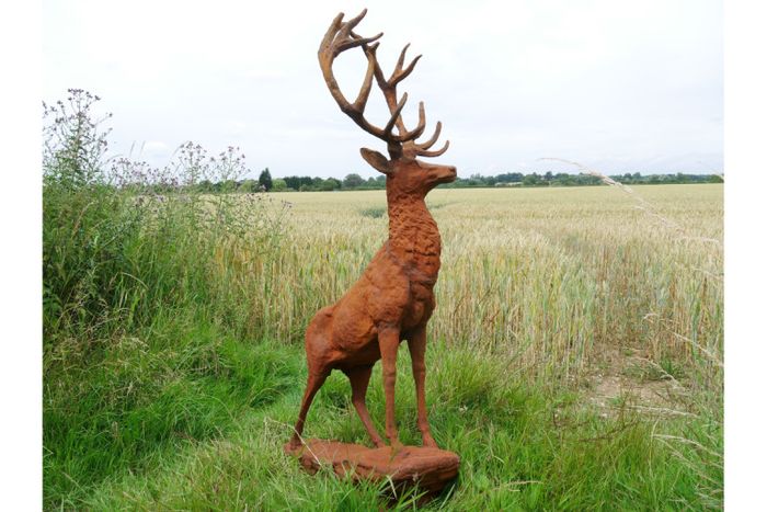 Rusty Stag Style 2 D8889