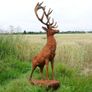 Rusty Stag Style 2 D8889 Image 2