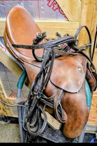 equestrian items