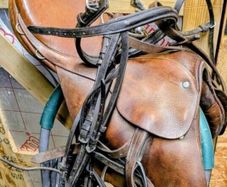 equestrian items