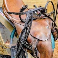 equestrian items