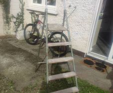 Garden ladder