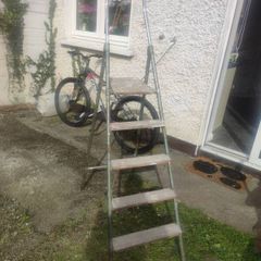 Garden ladder