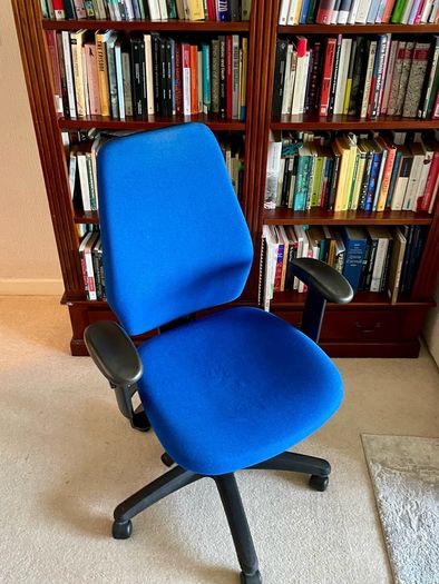 Premium Ergonomic Office Chair