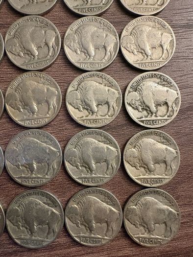 Buffalo Nickel Lot