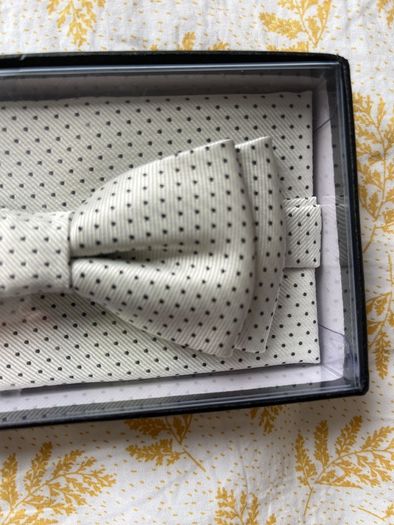 Bow Tie and Napkin set
