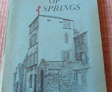 1977 Place of Springs. The story of 100 years of the Province of Maternal Heart.
