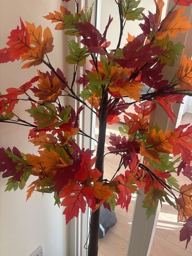 Autum tree with battery lights