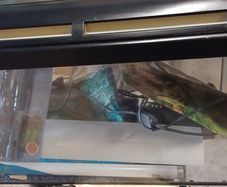 Aquarium