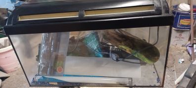 Aquarium