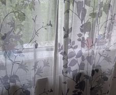 curtains