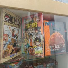 One Piece Manga bundle with rep devil fruit