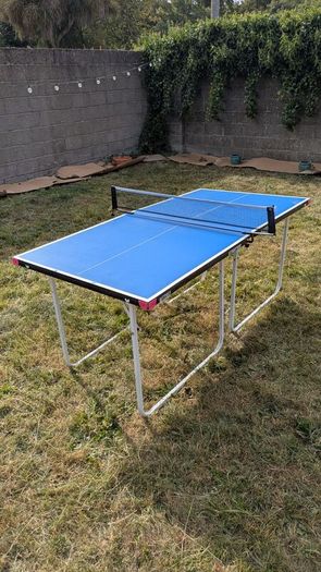 Butterfly Starter table tennis