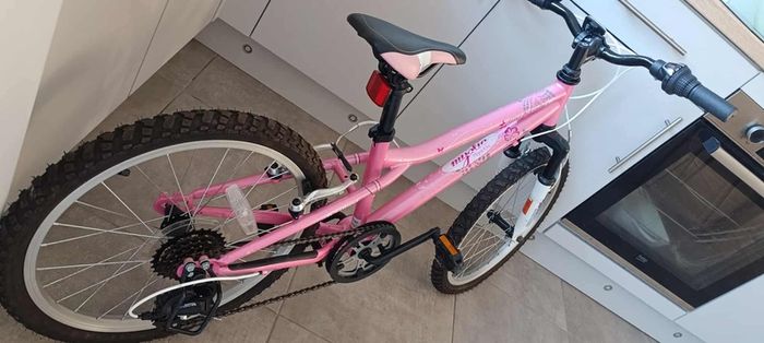 girls 20 inch bike