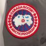 Canada goose Image 6