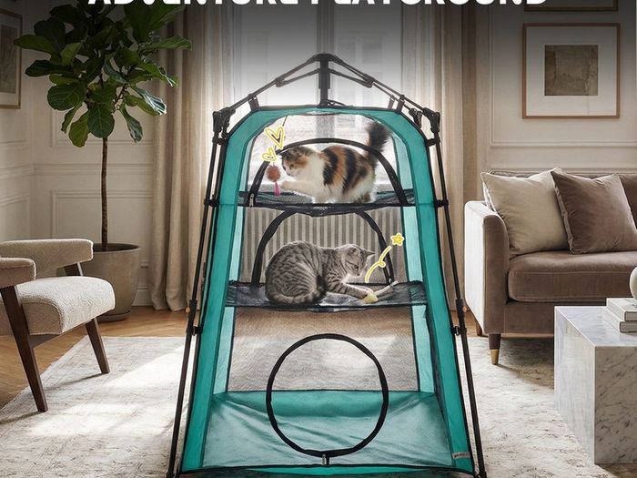 Cat Tent