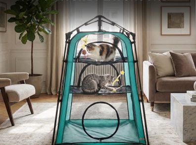Cat Tent