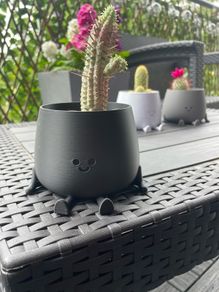 Happy Pot Planter