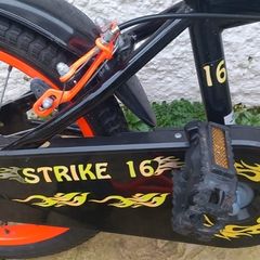 kids Strike Bike