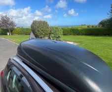 Roof box