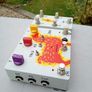 Jam Pedals Delay Llama Xtreme and CRTL box Image 3