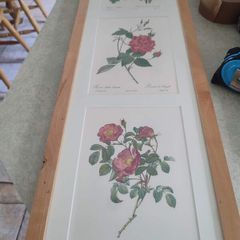 Framed Tripl Photo Of Roses Prints