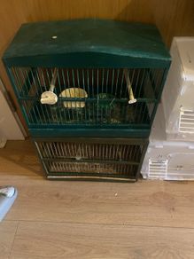 bird cages , travel and mule