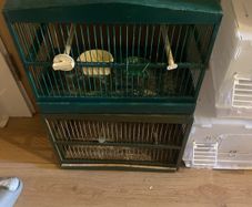 bird cages , travel and mule
