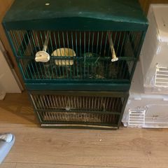 bird cages , travel and mule
