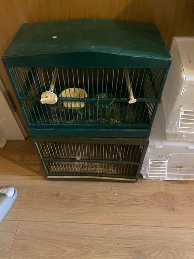 bird cages , travel and mule