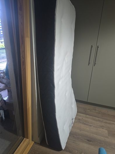 single mattress FTG- Mint condition