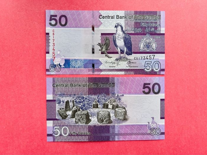 Gambia.  50 Dalasis. 2023 Pick 40c ( Uncirculated )
