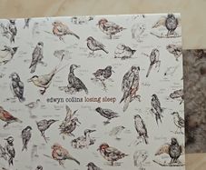 Edwyn Collins CD  - Losing Sleep