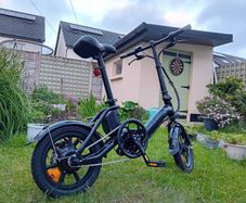 FIIDO D3 Pro Folding Electric Bike