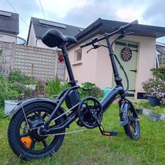 FIIDO D3 Pro Folding Electric Bike