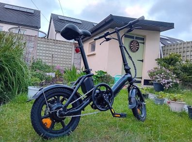 FIIDO D3 Pro Folding Electric Bike