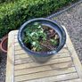 Beautiful heavy ceramic pot Image 4