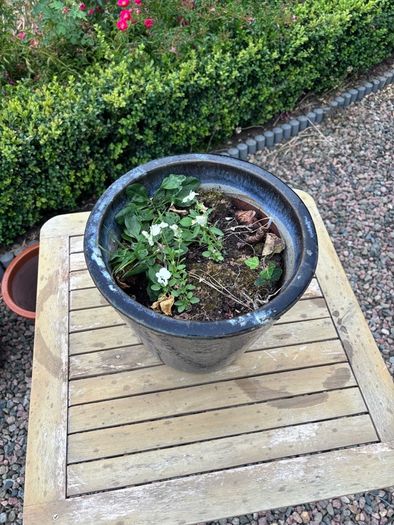 Beautiful heavy ceramic pot