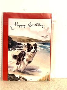 Dog Birthday Card