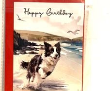 Dog Birthday Card