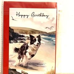 Dog Birthday Card