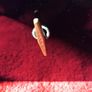 Vintage Musical Jewellery Box  1970s Image 3