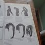 Wake Up to Yoga Book for sale Image 5