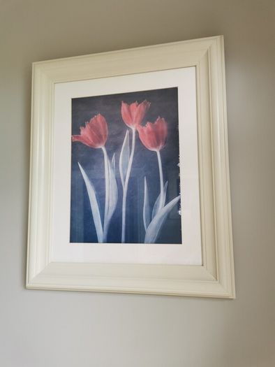 framed prints