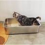 Stainless Steel Cat Litter Box, Large Metal Litter Tray for Cats Rabbits, Never Absorb Odors, Stain Free, Rustproof, Non Stick Smooth Surface Image 6